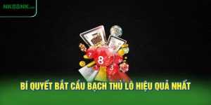 Bí Quyết Bắt Cầu Bạch Thủ Lô Hiệu Quả Nhất