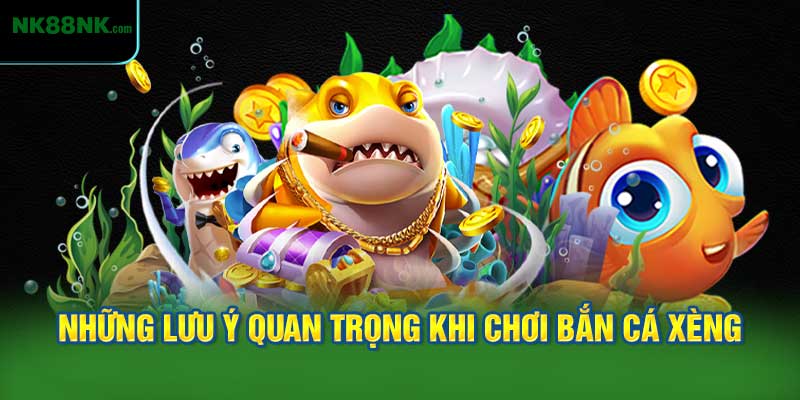 Những Lưu Ý Quan Trọng Khi Chơi Bắn Cá Xèng